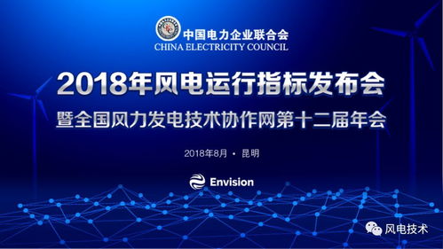 智慧風(fēng)能 2018年風(fēng)電運(yùn)行指標(biāo)發(fā)布會(huì)暨全國(guó)協(xié)作網(wǎng)年會(huì)第二日交流側(cè)記
